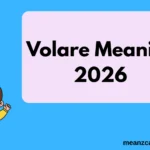 Volare Meaning