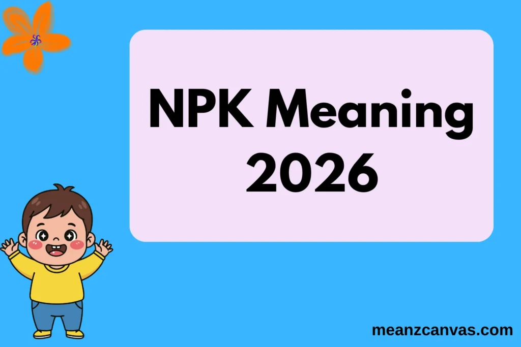 NPK Meaning