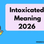 Intoxicated Meaning