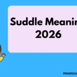 Suddle Meaning
