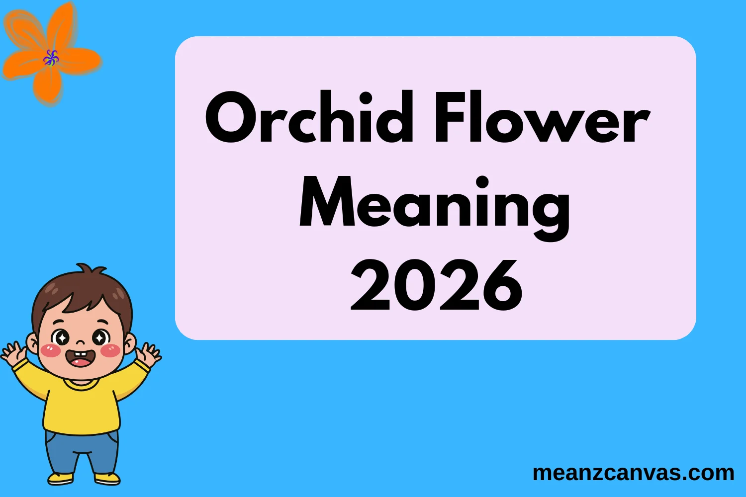 Orchid Flower Meaning