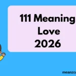 111 Meaning Love