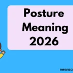 Posture Meaning