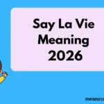 Say La Vie Meaning