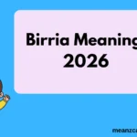 Birria Meaning