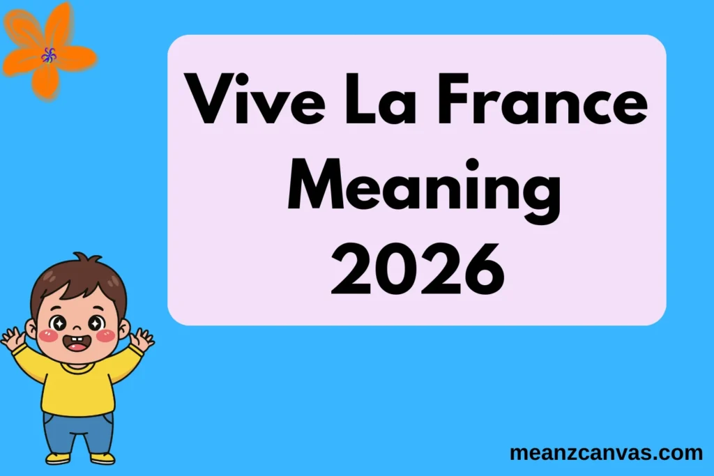 Vive La France Meaning