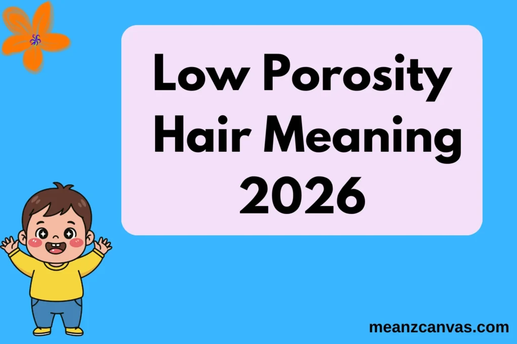 Low Porosity Hair Meaning