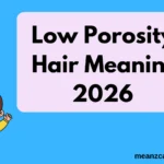 Low Porosity Hair Meaning