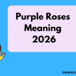 Purple Roses Meaning