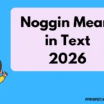 Noggin Mean in Text