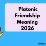Platonic Friendship Meaning