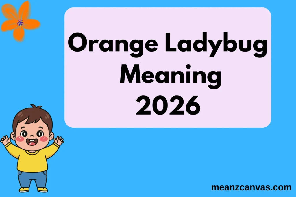 Orange Ladybug Meaning