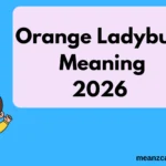 Orange Ladybug Meaning