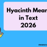 Hyacinth Mean in Text
