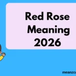 Red Rose Meaning
