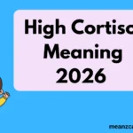 High Cortisol Meaning