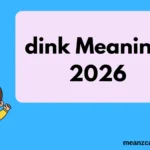 dink Meaning