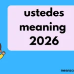 ustedes meaning