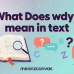 What Does wdyll mean in text